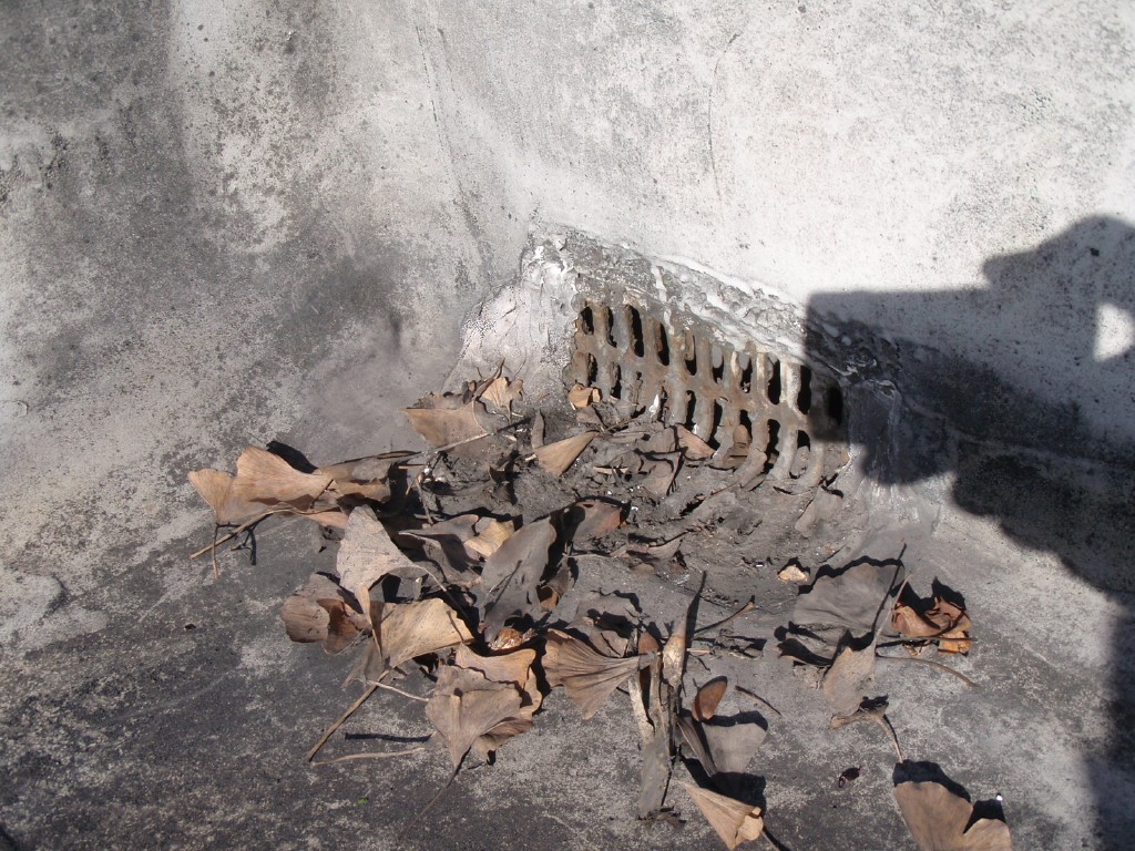 屋上防水層の排水ドレインに溜まったごみ。