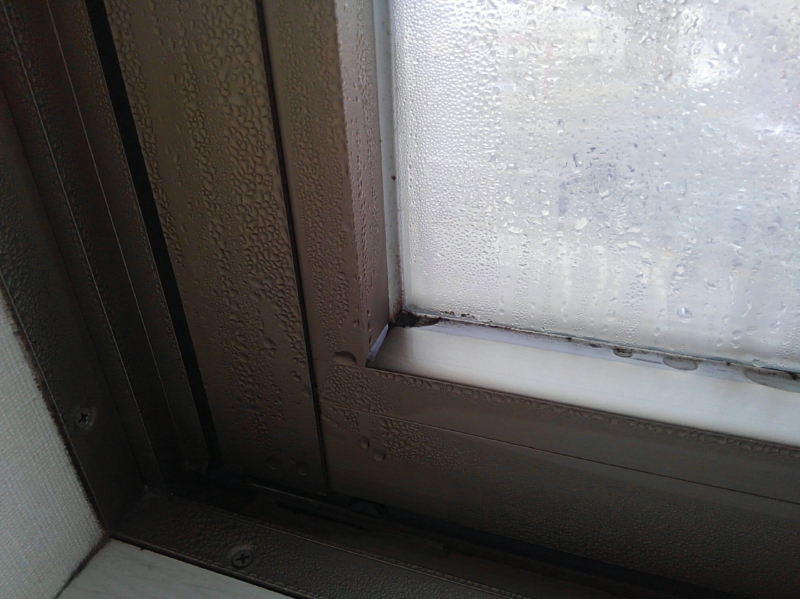 窓の結露の一例。寒い日の外気で冷やされたガラスに、室内の空気が触れて起こっている。