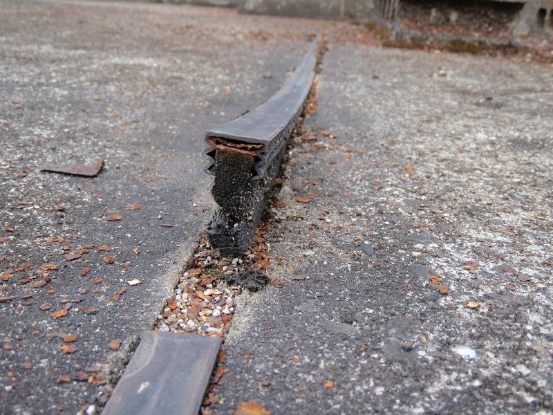 保護コンクリートの伸縮目地が浮き出ている。要因として、材料の反り・コンクリートの膨張等が考えられる。