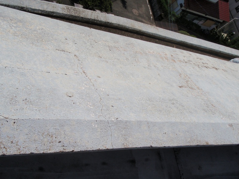屋上から見た斜面になった箇所。屋根と思われるが、塗装仕上げだった。