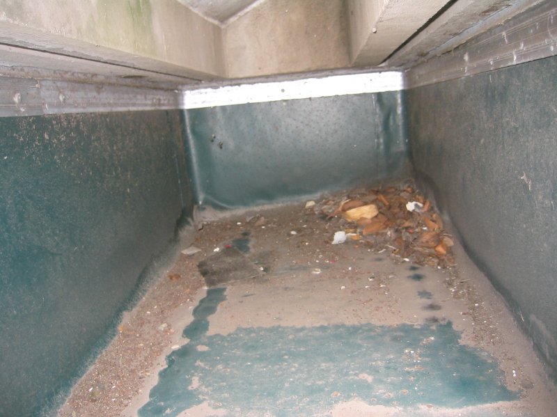 エレベーター機械室の屋根の一部。入り組んだつくりの箇所に、ゴムシート防水が施工されていた。
