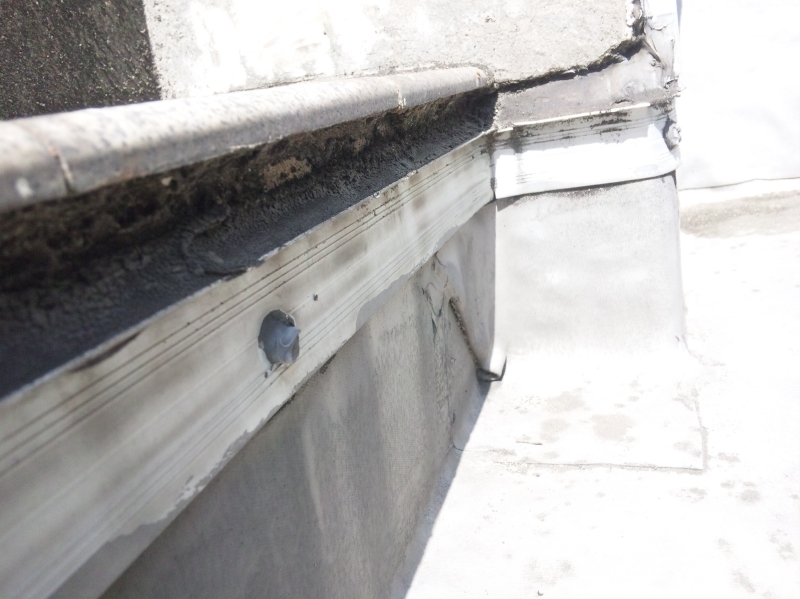 屋上床面からの階段の１段目に立ち上げたシート防水の端末シーリング材。著しく劣化が進行している。